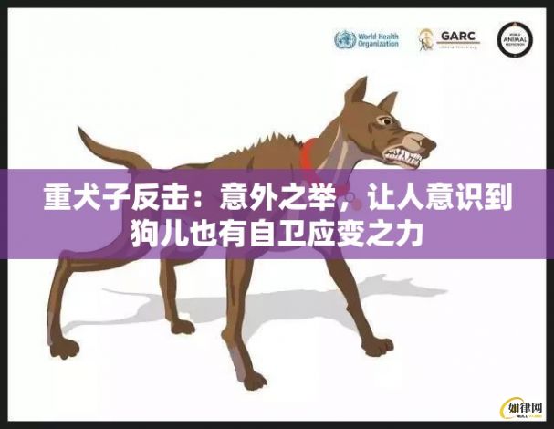 重犬子反击：意外之举，让人意识到狗儿也有自卫应变之力